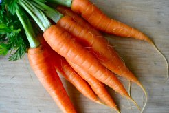 carrots-bunch.jpg