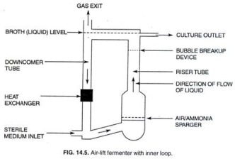 loop fermenter
