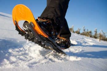 snowshoes_8