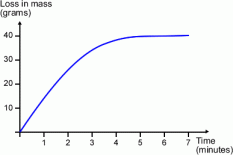 positive rate curve